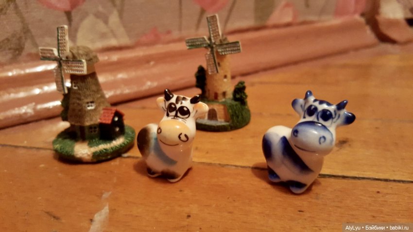 Мальчик из страны тюльпанов (фото 4)