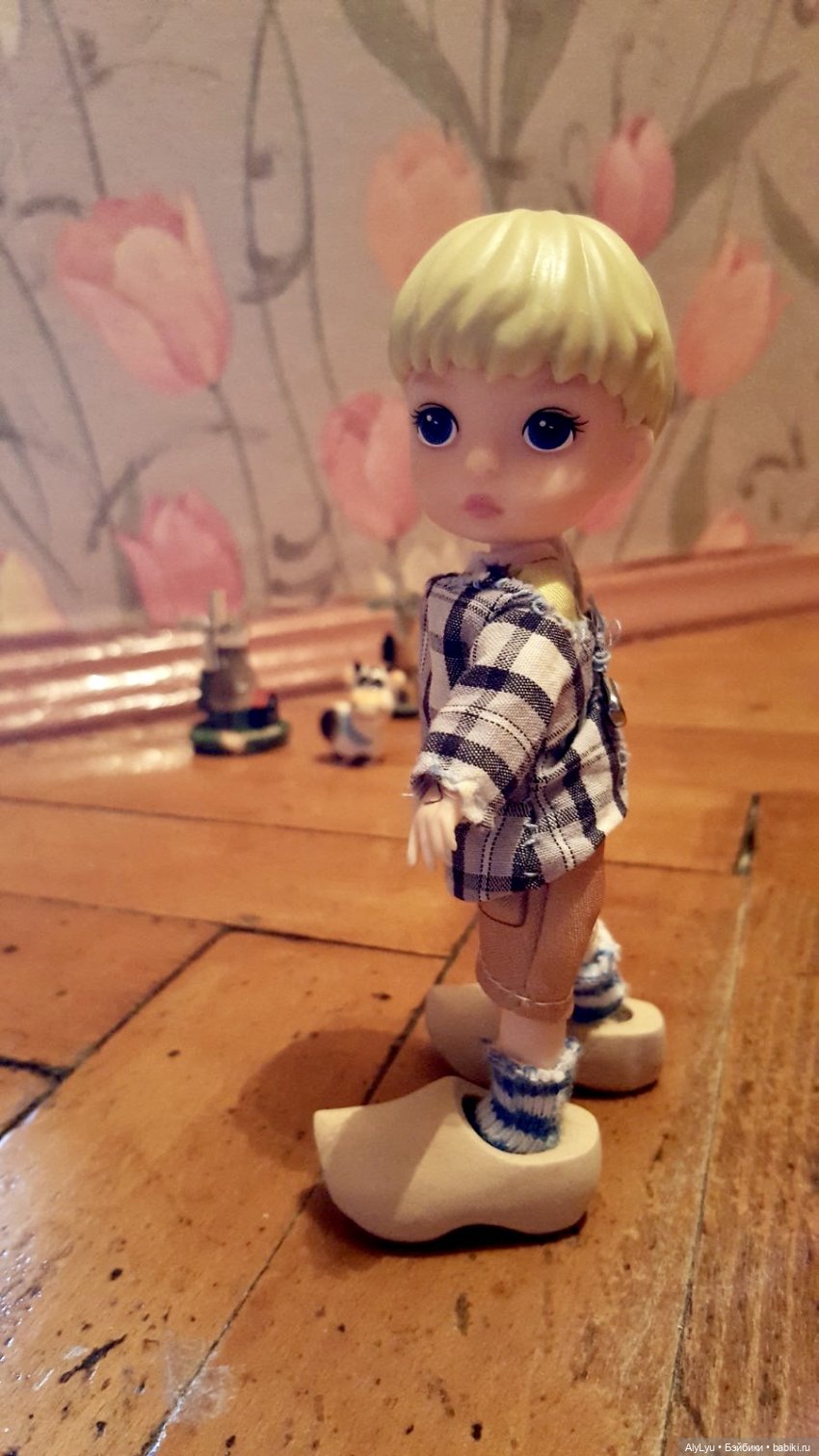 Мальчик из страны тюльпанов (фото 3)