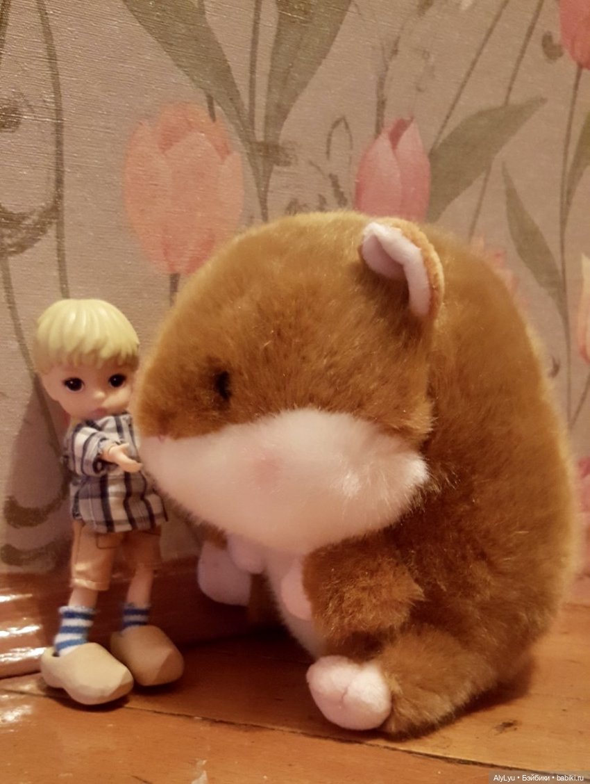 Мальчик из страны тюльпанов