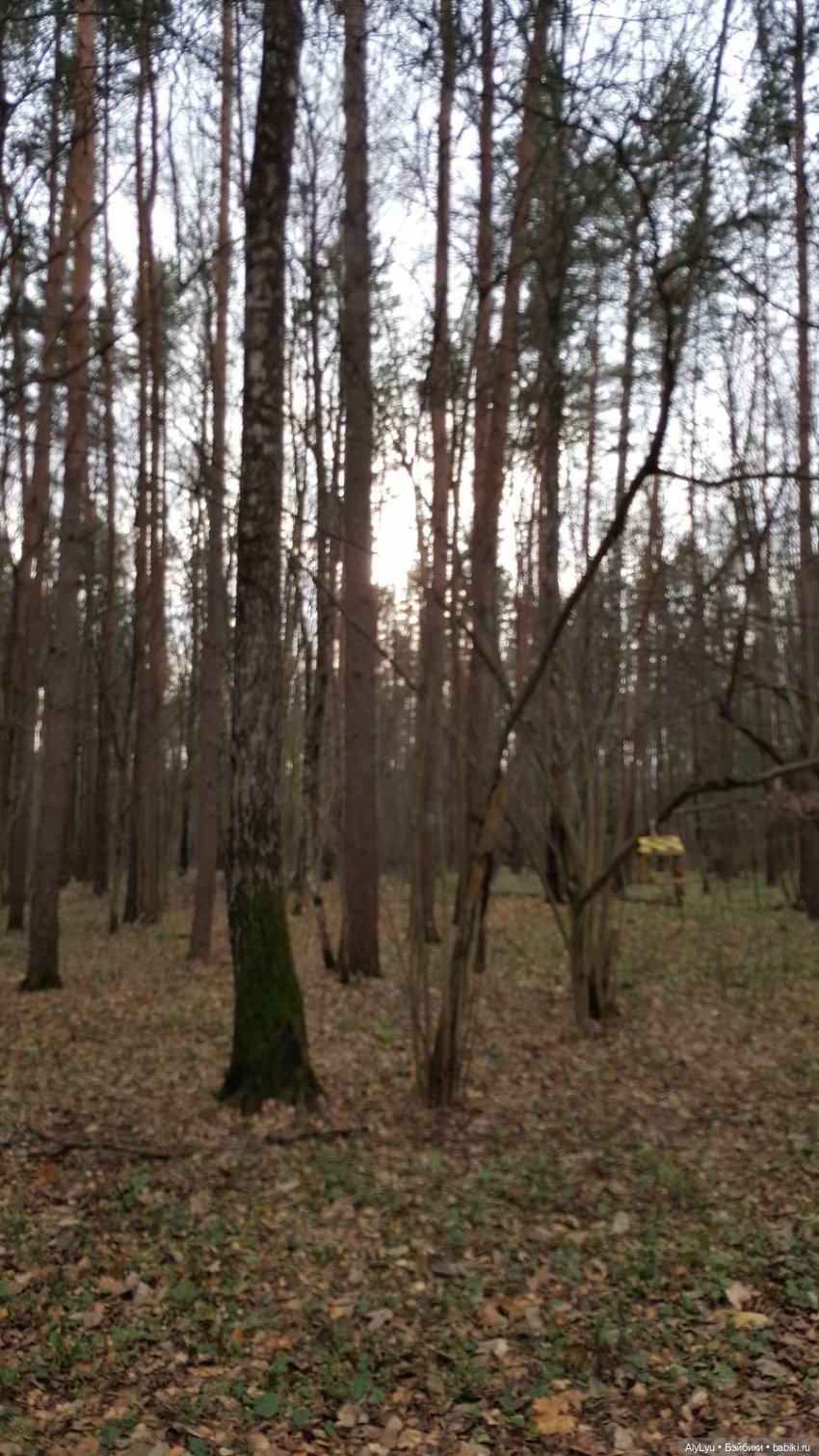 Маруся и волшебный лес — Куклы Carmen Gonzalez (Кармен Гонсалез): Мариетта (фото 9)