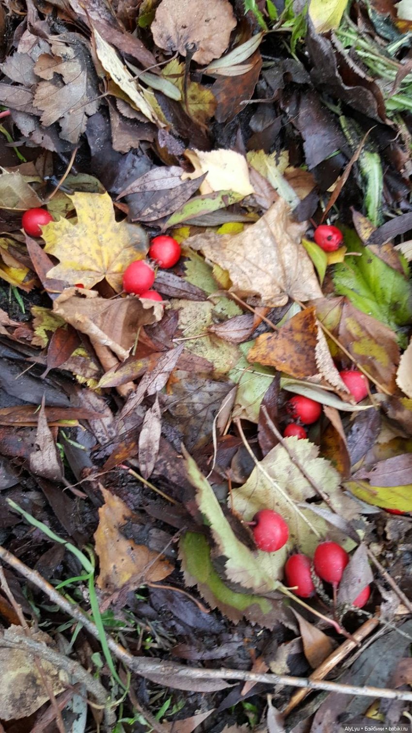 Маруся и волшебный лес — Куклы Carmen Gonzalez (Кармен Гонсалез): Мариетта