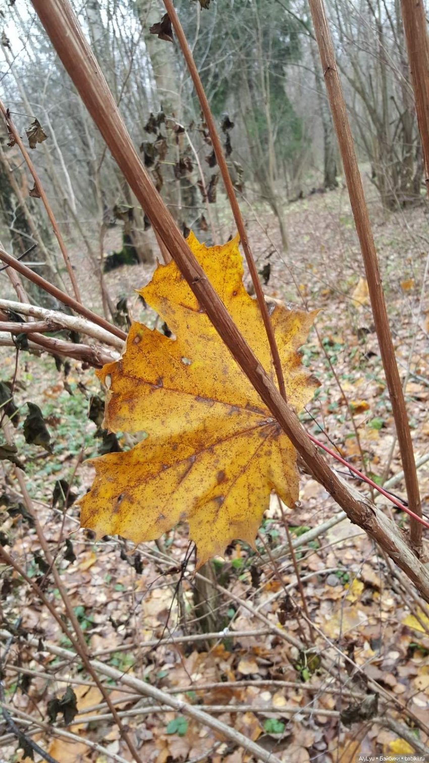 Маруся и волшебный лес — Куклы Carmen Gonzalez (Кармен Гонсалез): Мариетта (фото 7)