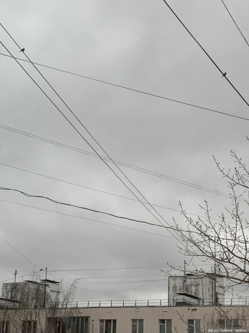 Новая неделя — новый рисуночный пост