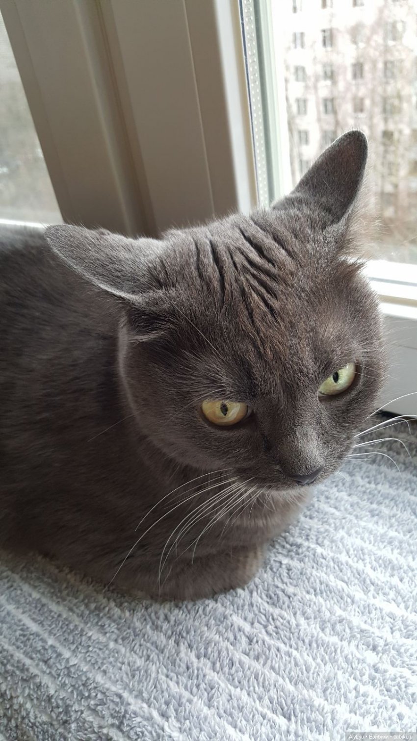 Что попалось Марусе — Куклы Carmen Gonzalez (Кармен Гонсалез): Мариетта (фото 7)