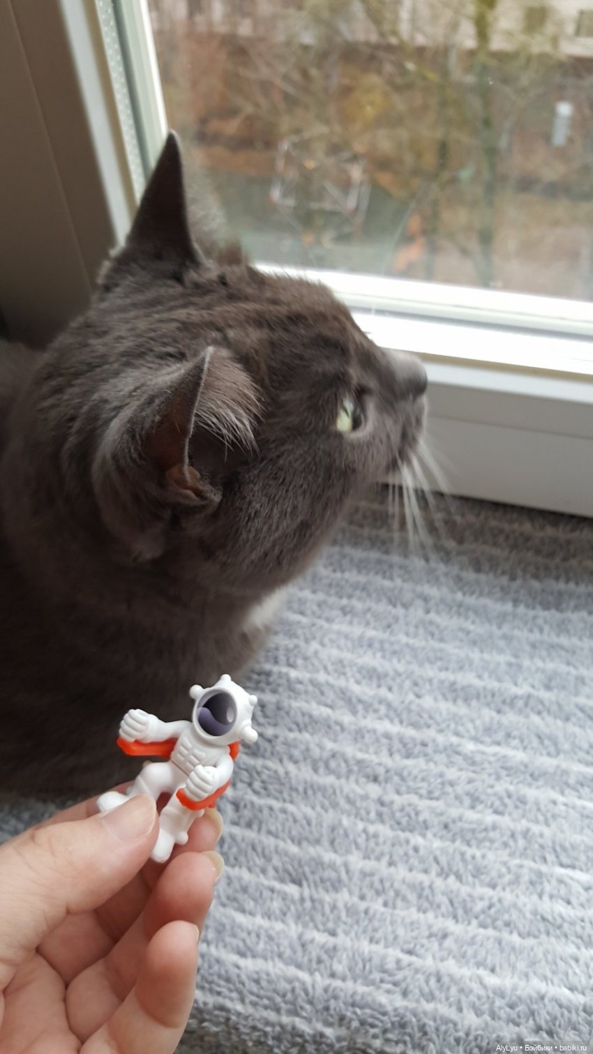 Что попалось Марусе — Куклы Carmen Gonzalez (Кармен Гонсалез): Мариетта (фото 5)