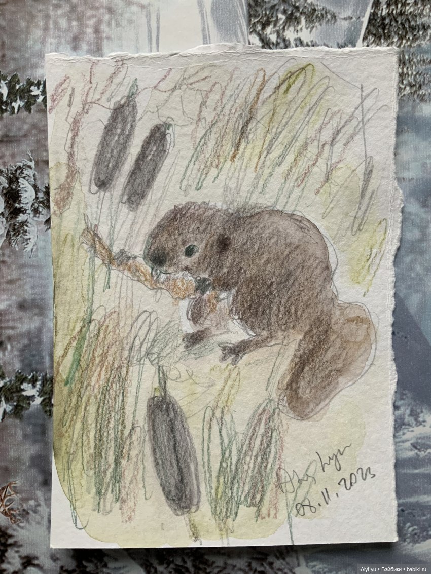 Рисунки ноября — Рисование и арт: скетчи (фото 4)