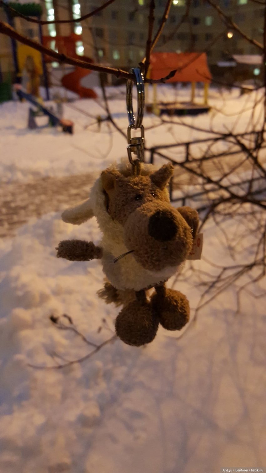 Вечерняя прогулка в снегу (фото 4)