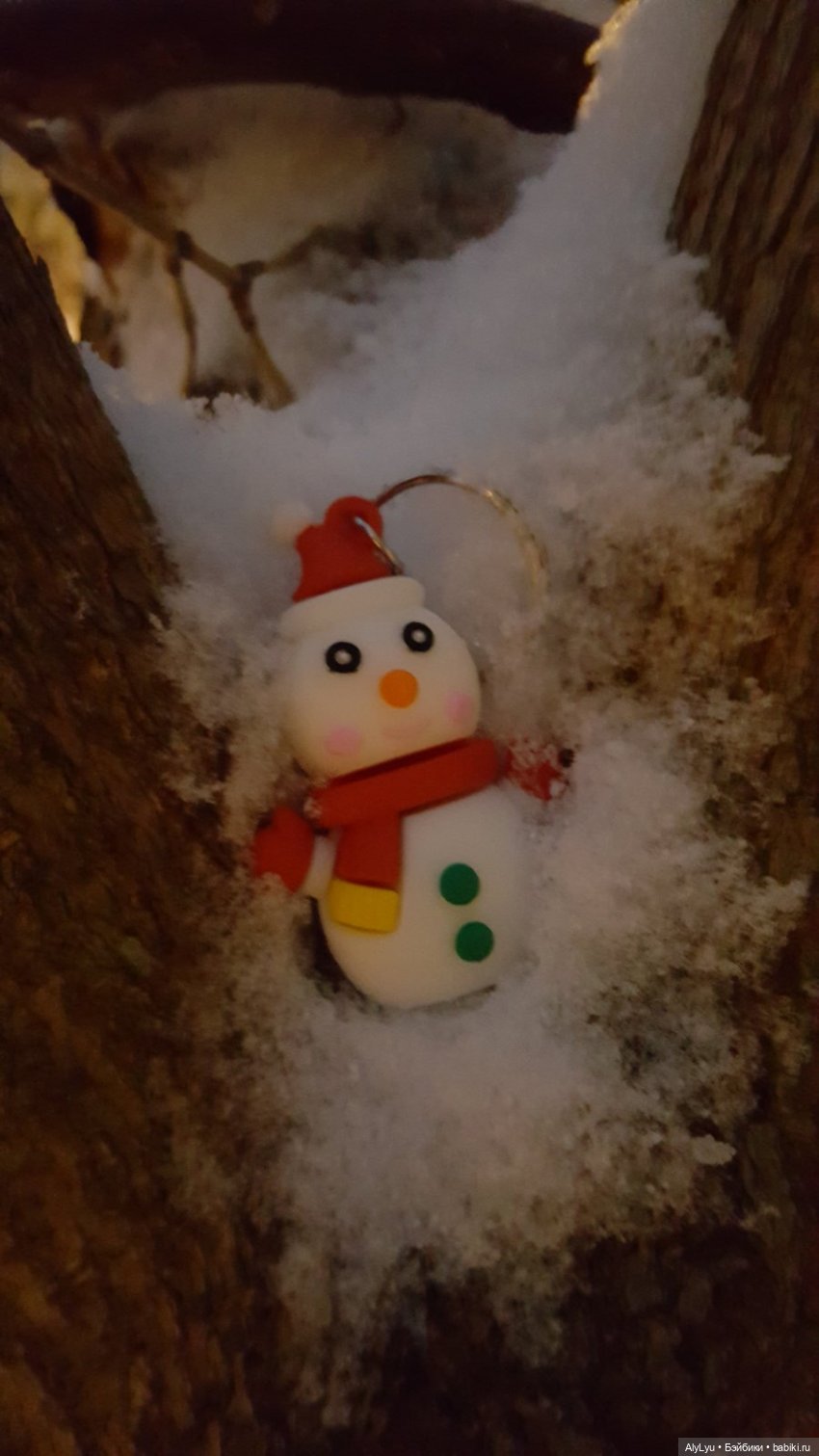 Вечерняя прогулка в снегу (фото 5)