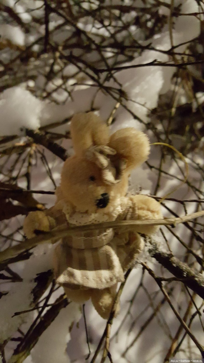 Вечерняя прогулка в снегу (фото 7)