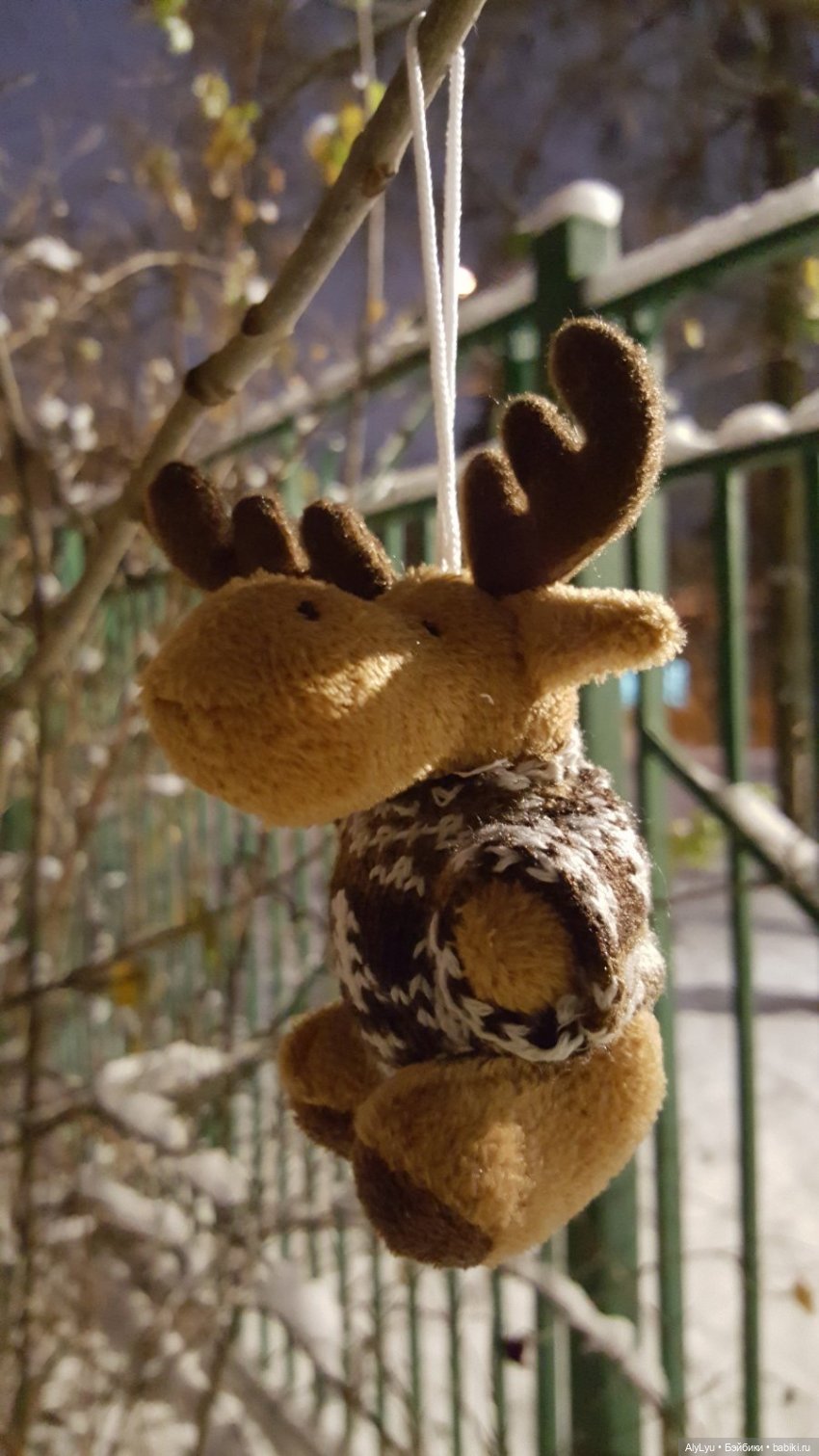 Вечерняя прогулка в снегу (фото 8)