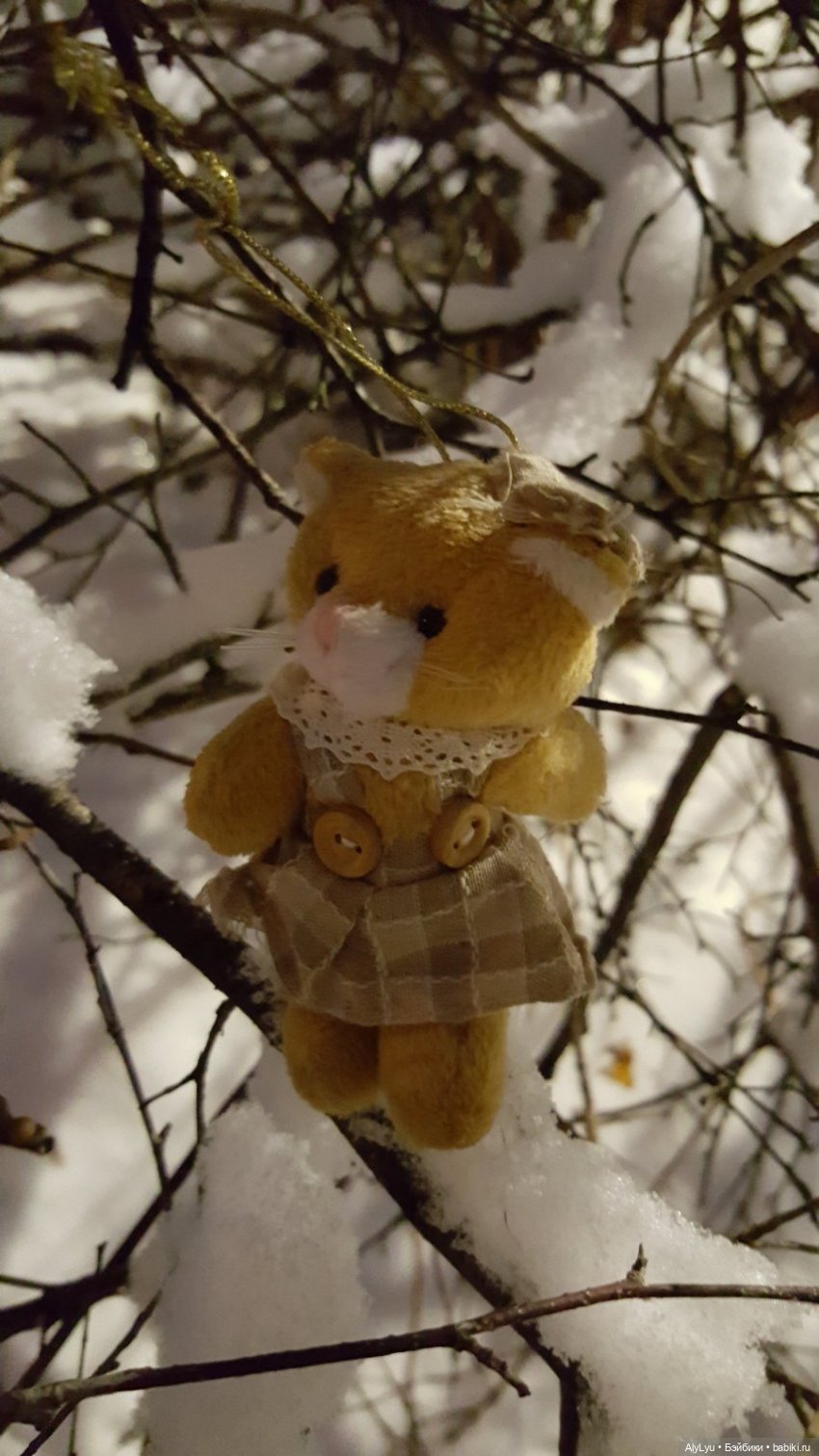 Вечерняя прогулка в снегу (фото 6)