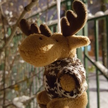 Вечерняя прогулка в снегу