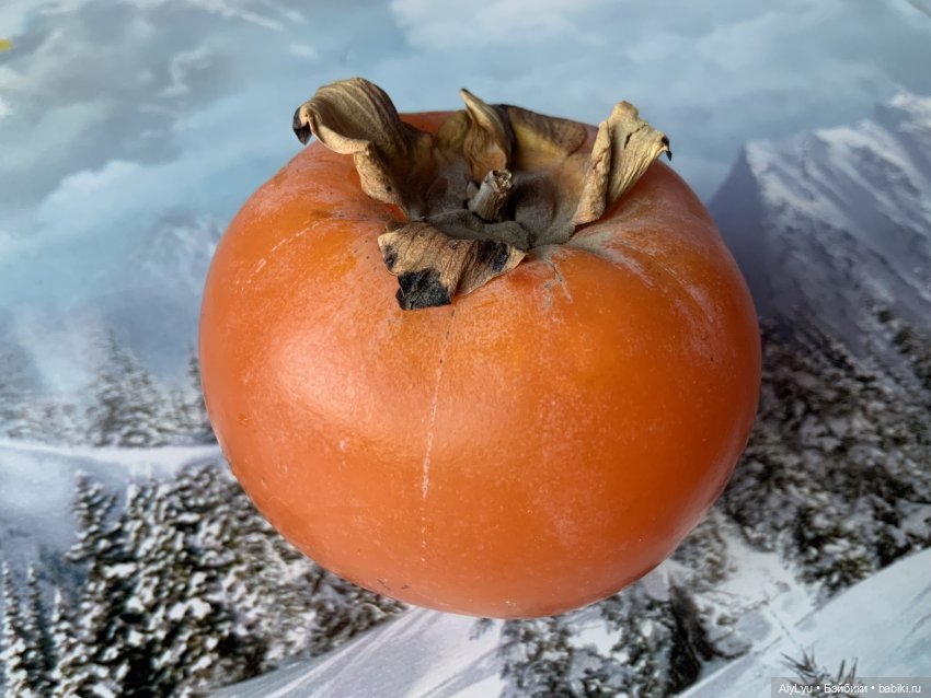 Вновь рисунки — Рисование и арт: скетчи