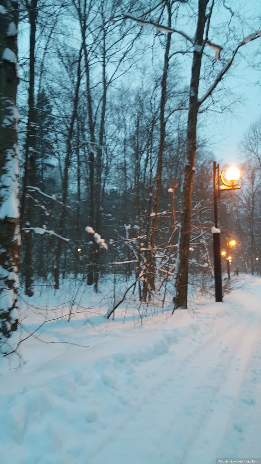 Снежная зарисовка | Бэйбики Снежная зарисовка — Коллекционные фигурки (разное): животные