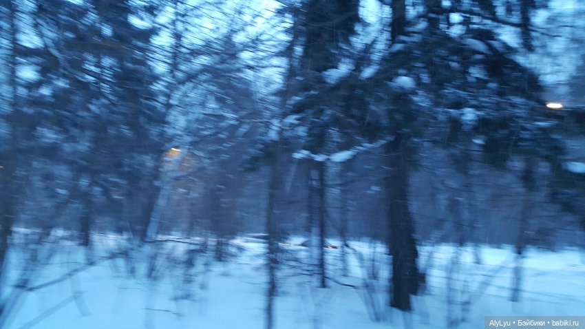 Снежная зарисовка | Бэйбики Снежная зарисовка — Коллекционные фигурки (разное): животные (фото 7)