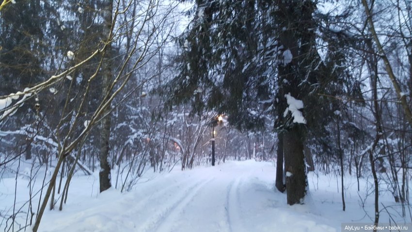 Снежная зарисовка | Бэйбики Снежная зарисовка — Коллекционные фигурки (разное): животные