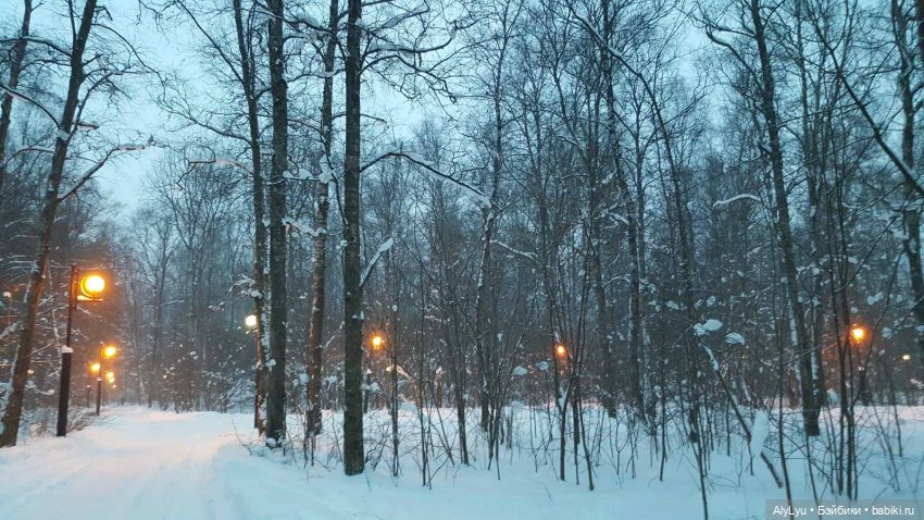 Снежная зарисовка | Бэйбики Снежная зарисовка — Коллекционные фигурки (разное): животные