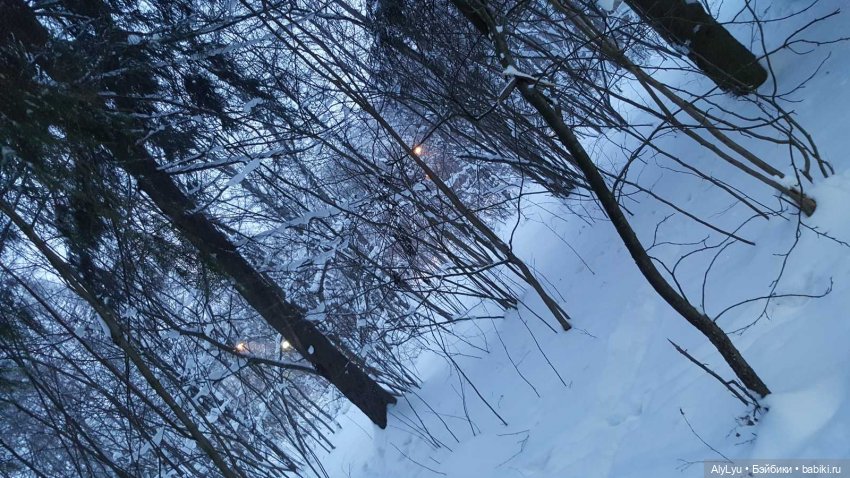 Снежная зарисовка | Бэйбики Снежная зарисовка — Коллекционные фигурки (разное): животные