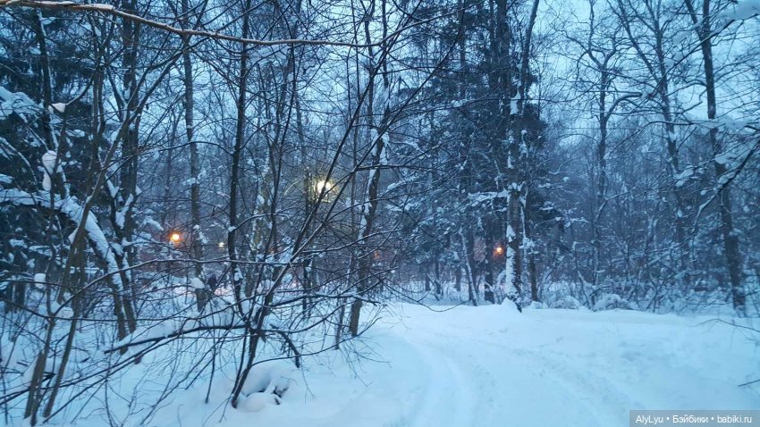 Снежная зарисовка | Бэйбики Снежная зарисовка — Коллекционные фигурки (разное): животные