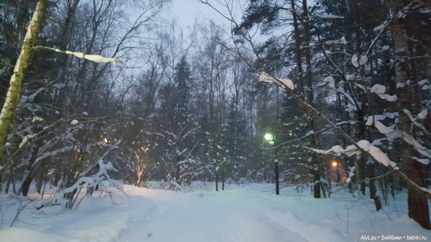 Снежная зарисовка | Бэйбики Снежная зарисовка — Коллекционные фигурки (разное): животные