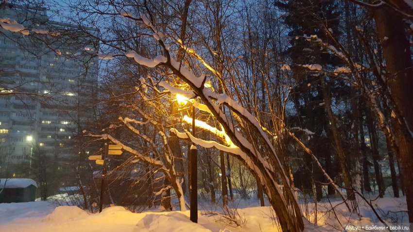 Снежная зарисовка | Бэйбики Снежная зарисовка — Коллекционные фигурки (разное): животные