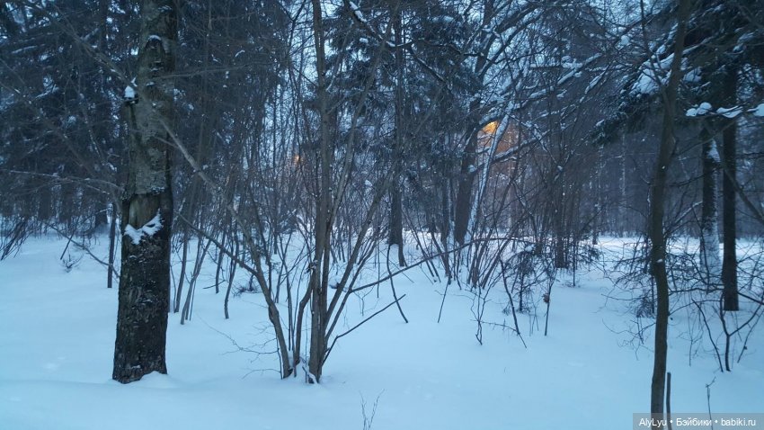 Снежная зарисовка | Бэйбики Снежная зарисовка — Коллекционные фигурки (разное): животные (фото 8)