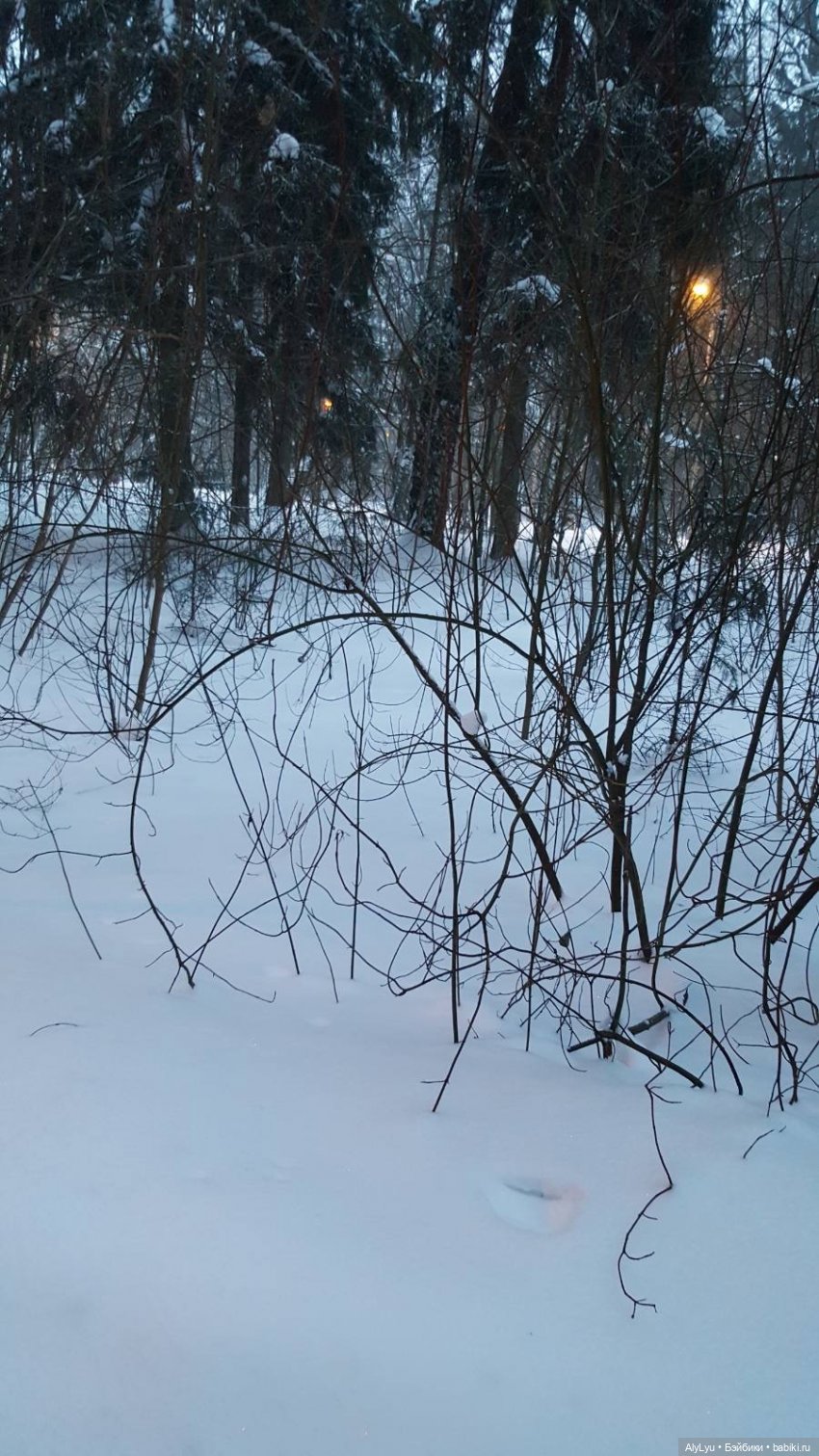 Снежная зарисовка | Бэйбики Снежная зарисовка — Коллекционные фигурки (разное): животные (фото 10)
