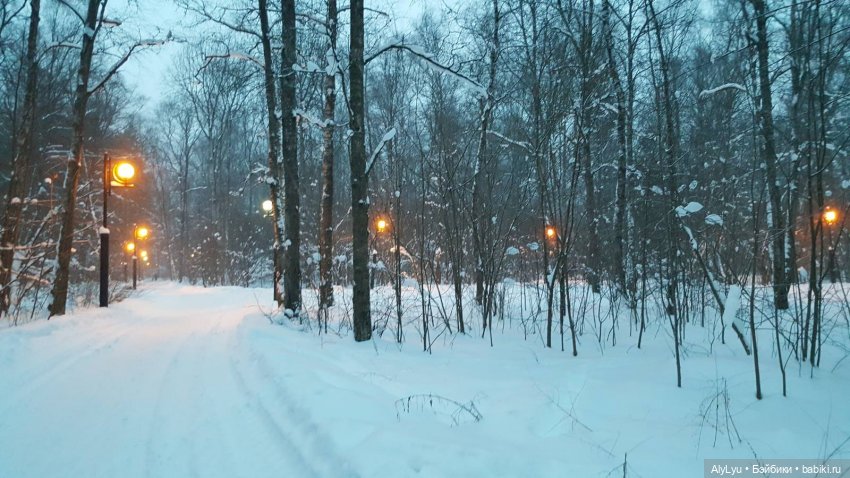 Снежная зарисовка | Бэйбики Снежная зарисовка — Коллекционные фигурки (разное): животные
