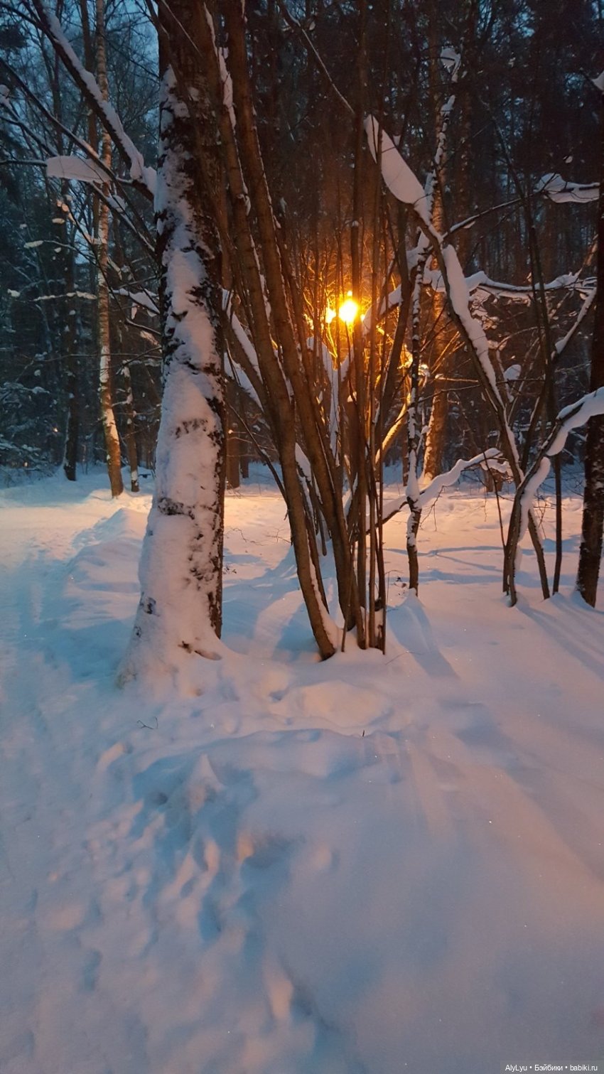 Снежная зарисовка | Бэйбики Снежная зарисовка — Коллекционные фигурки (разное): животные