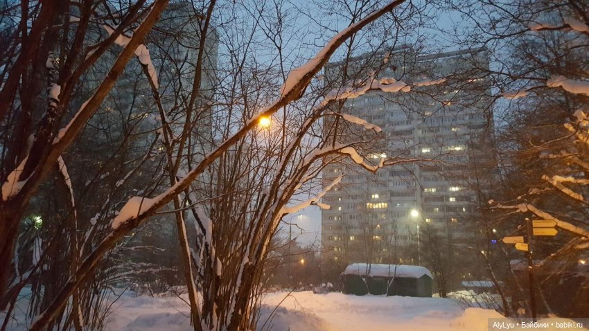 Снежная зарисовка | Бэйбики Снежная зарисовка — Коллекционные фигурки (разное): животные