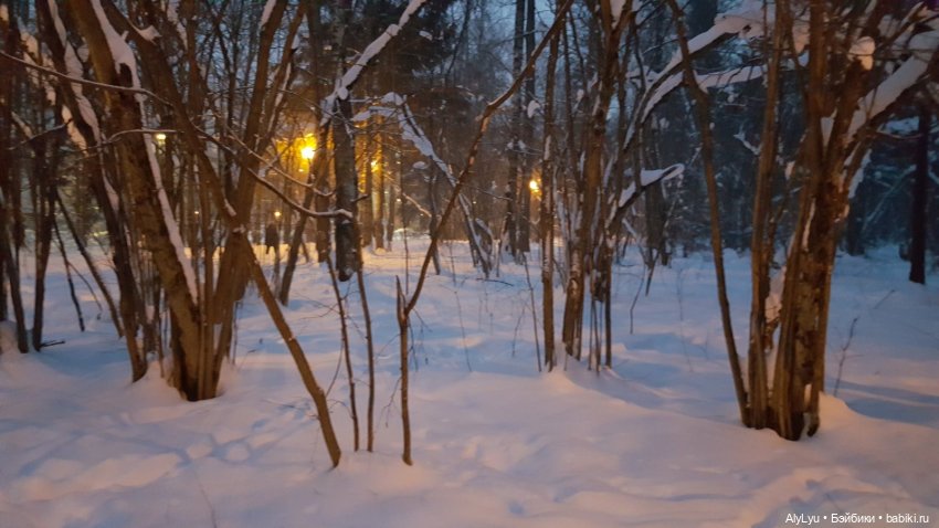 Снежная зарисовка | Бэйбики Снежная зарисовка — Коллекционные фигурки (разное): животные