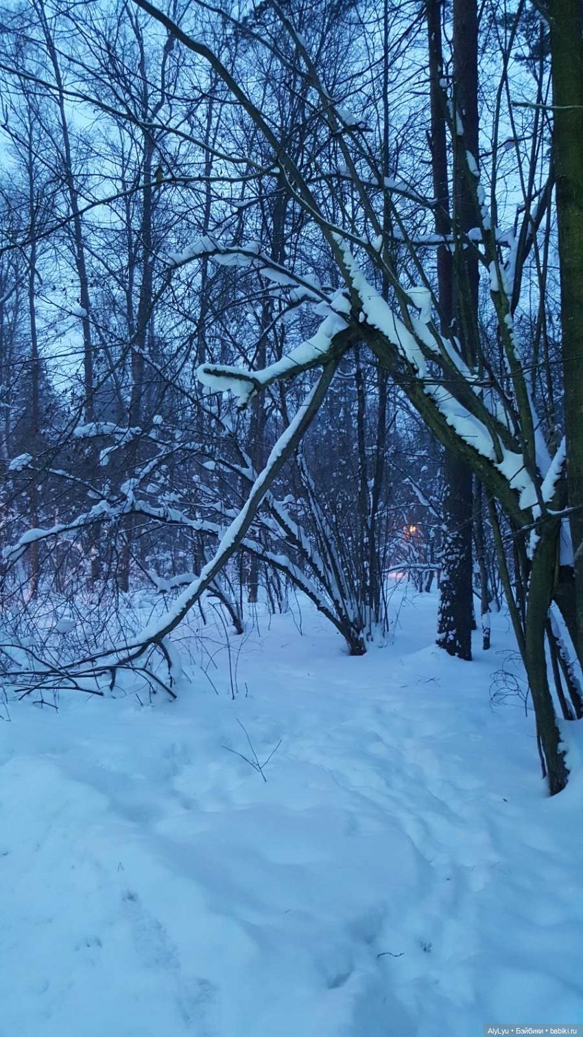 Снежная зарисовка | Бэйбики Снежная зарисовка — Коллекционные фигурки (разное): животные