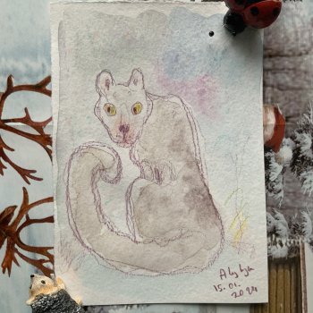 Вьюжные картинки