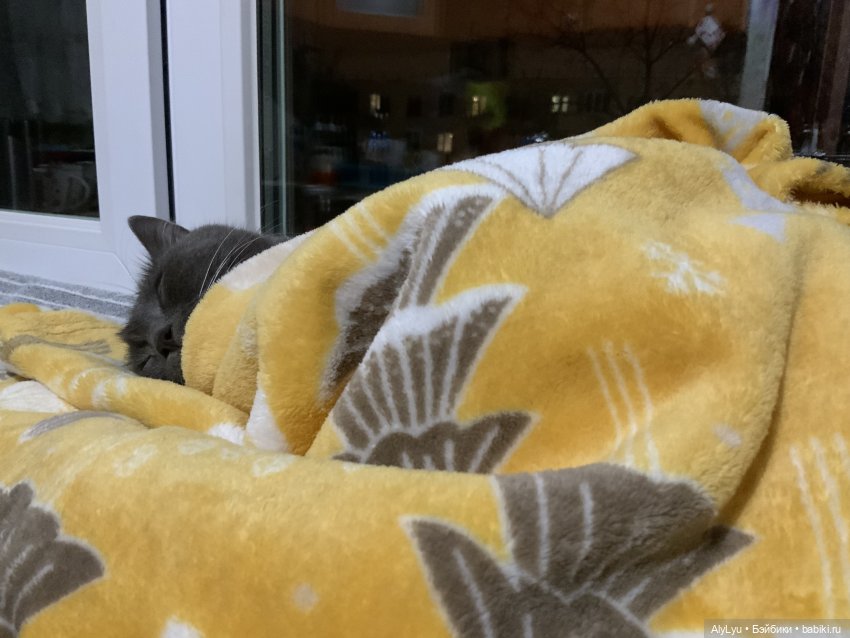 Томми и Котенок — Разные шарнирные куклы (не БЖД): редкие (фото 7)