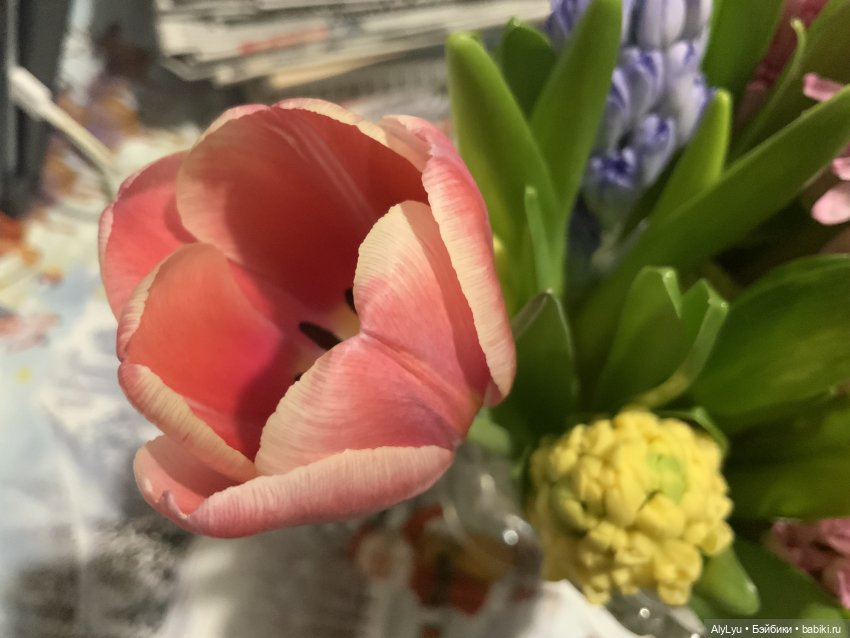 Середина февраля 💜 — Рисование и арт: скетчи