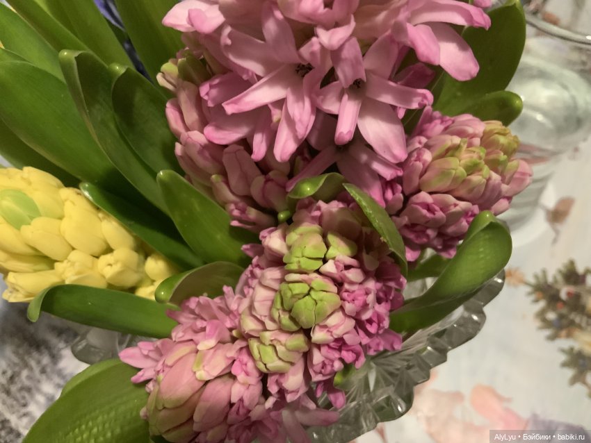 Середина февраля 💜 — Рисование и арт: скетчи