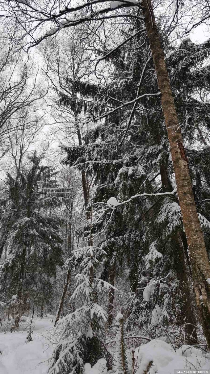 Цветочная зарисовка — Разные шарнирные куклы (не БЖД): редкие