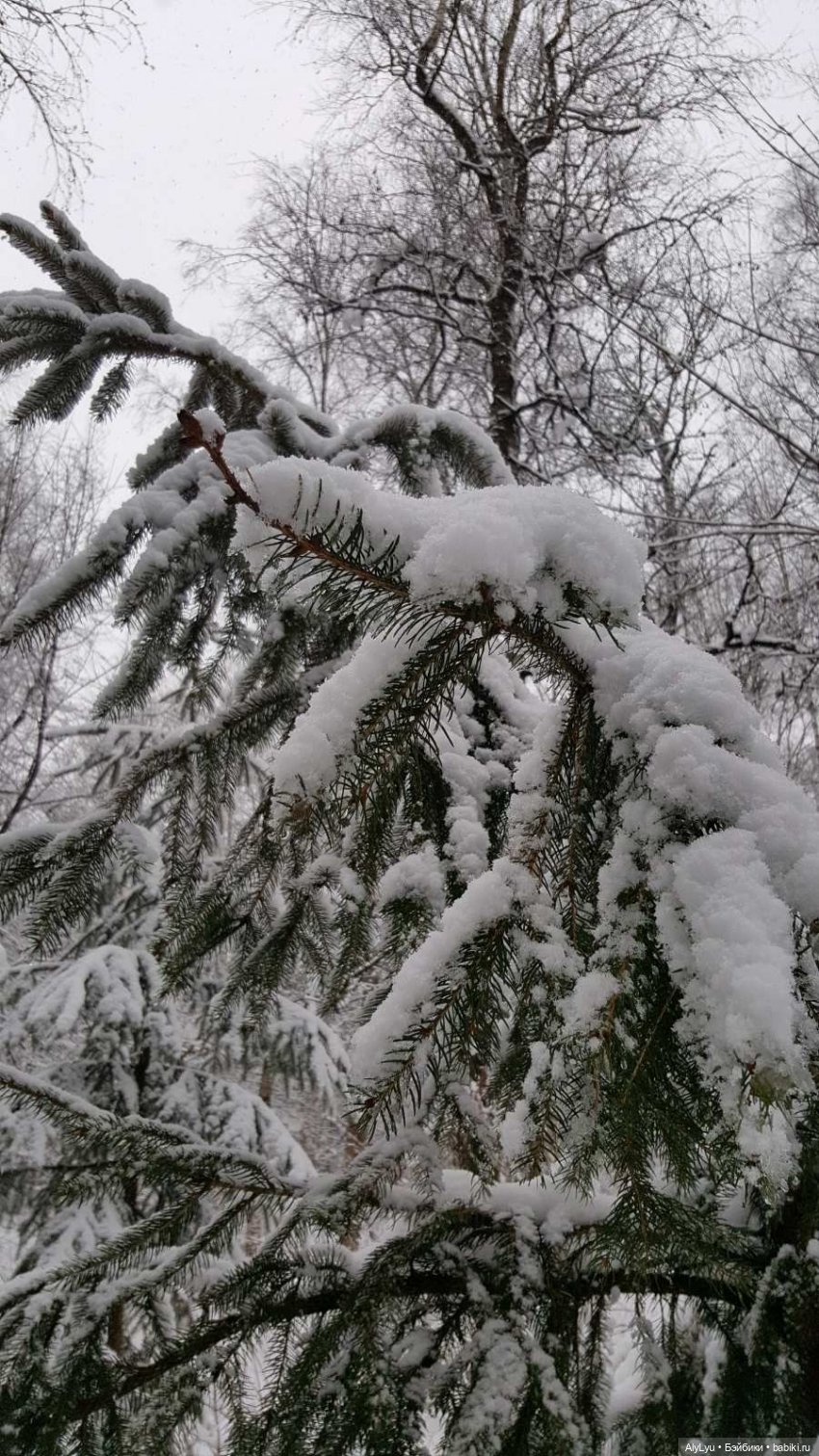 Цветочная зарисовка — Разные шарнирные куклы (не БЖД): редкие