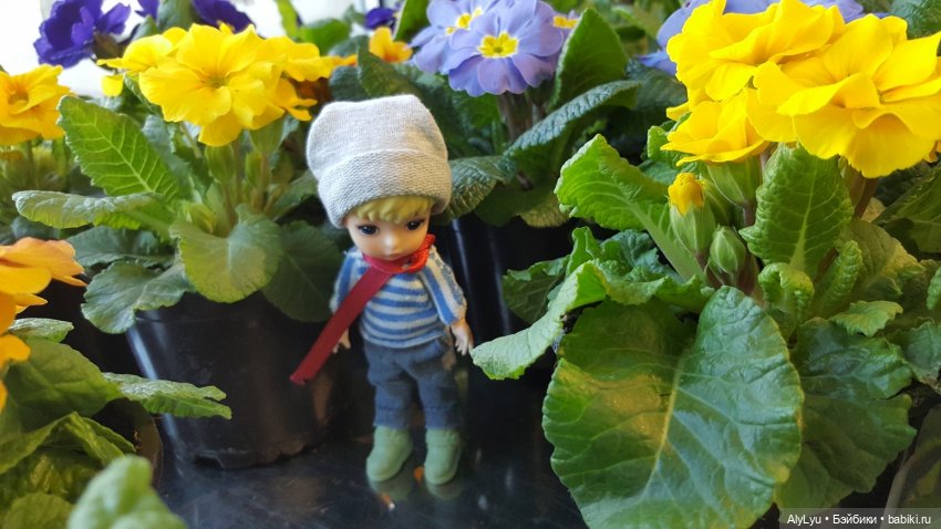 Цветочная зарисовка — Разные шарнирные куклы (не БЖД): редкие (фото 4)