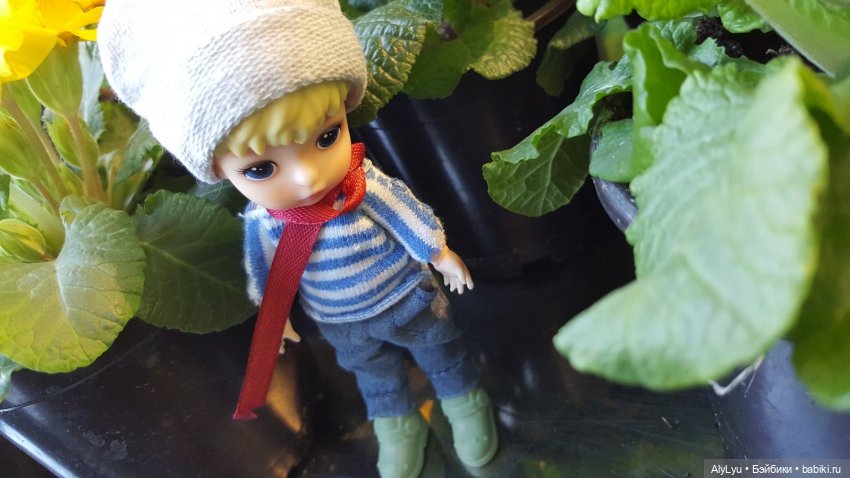 Цветочная зарисовка — Разные шарнирные куклы (не БЖД): редкие (фото 5)