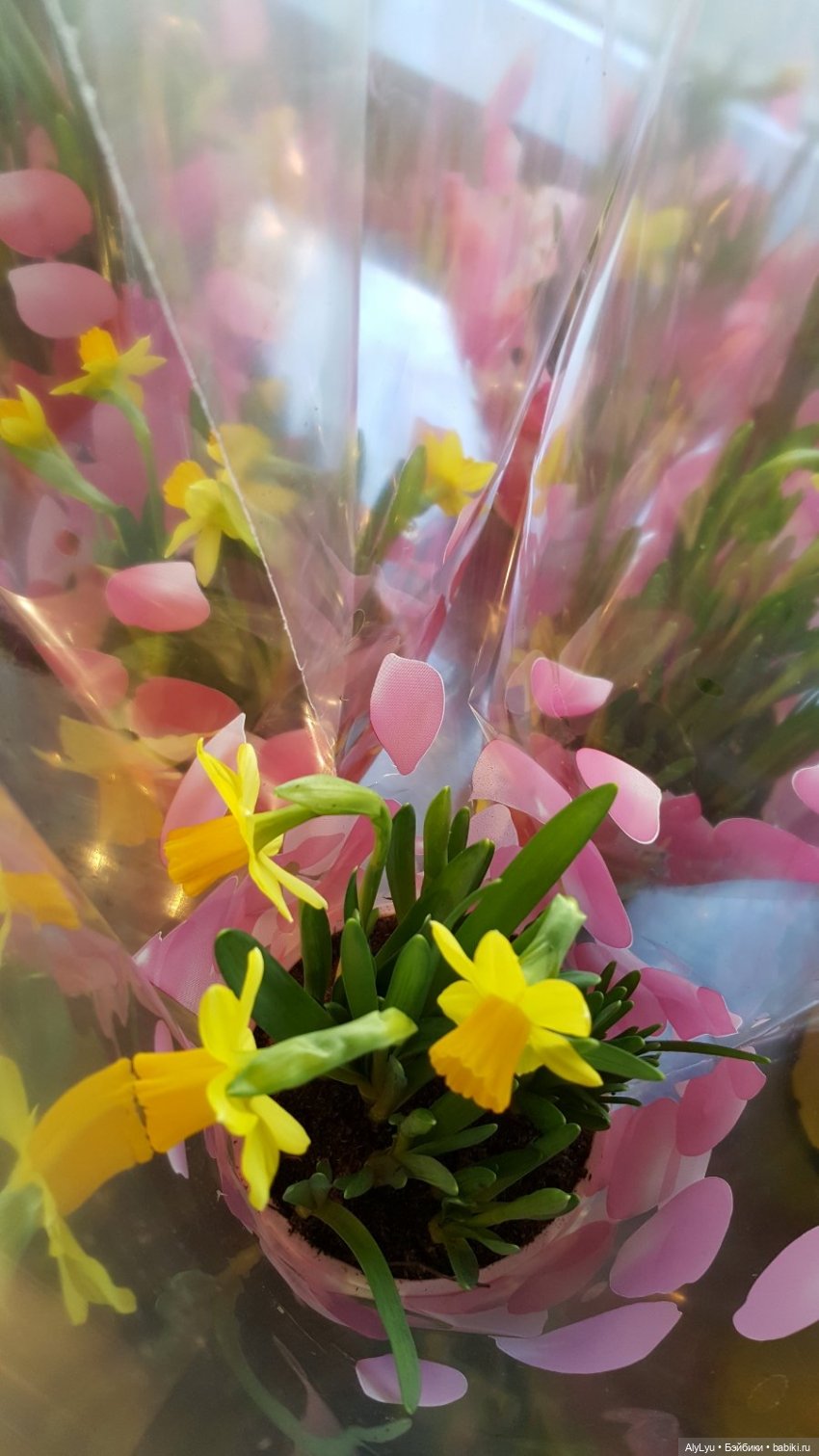 Цветочная зарисовка — Разные шарнирные куклы (не БЖД): редкие (фото 2)