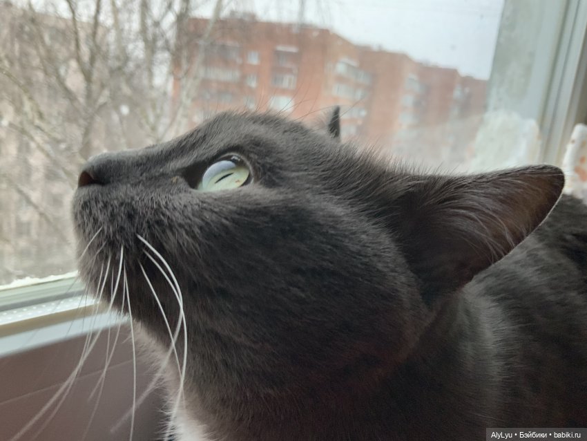 Цветочная зарисовка — Разные шарнирные куклы (не БЖД): редкие