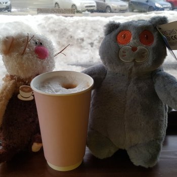 Кофейные коты