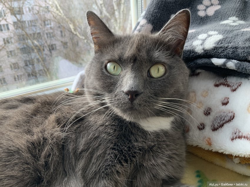 На пороге мая — Рисование и арт: скетчи