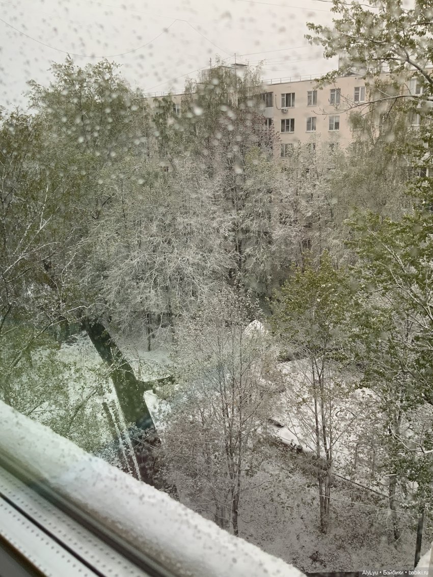 Я и не заметил, что конец мая (фото 5)