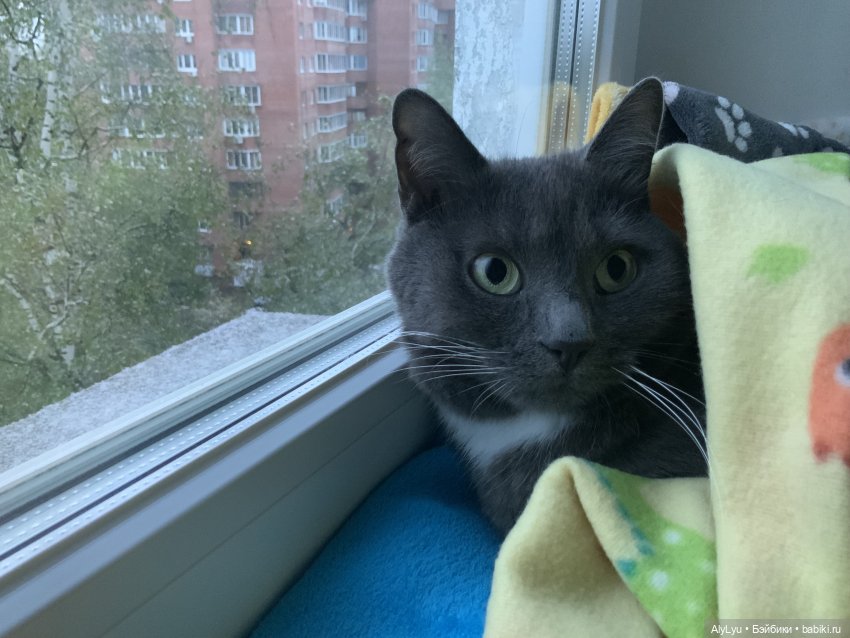 Я и не заметил, что конец мая (фото 2)