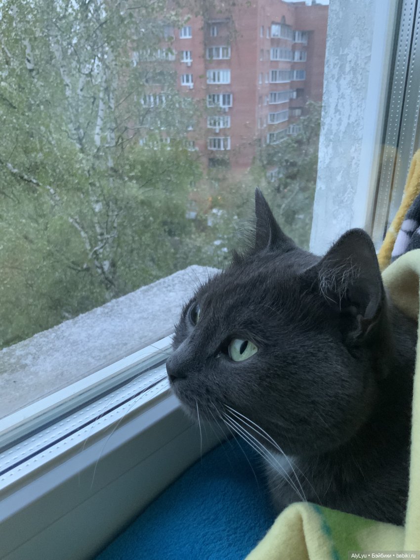 Я и не заметил, что конец мая (фото 3)