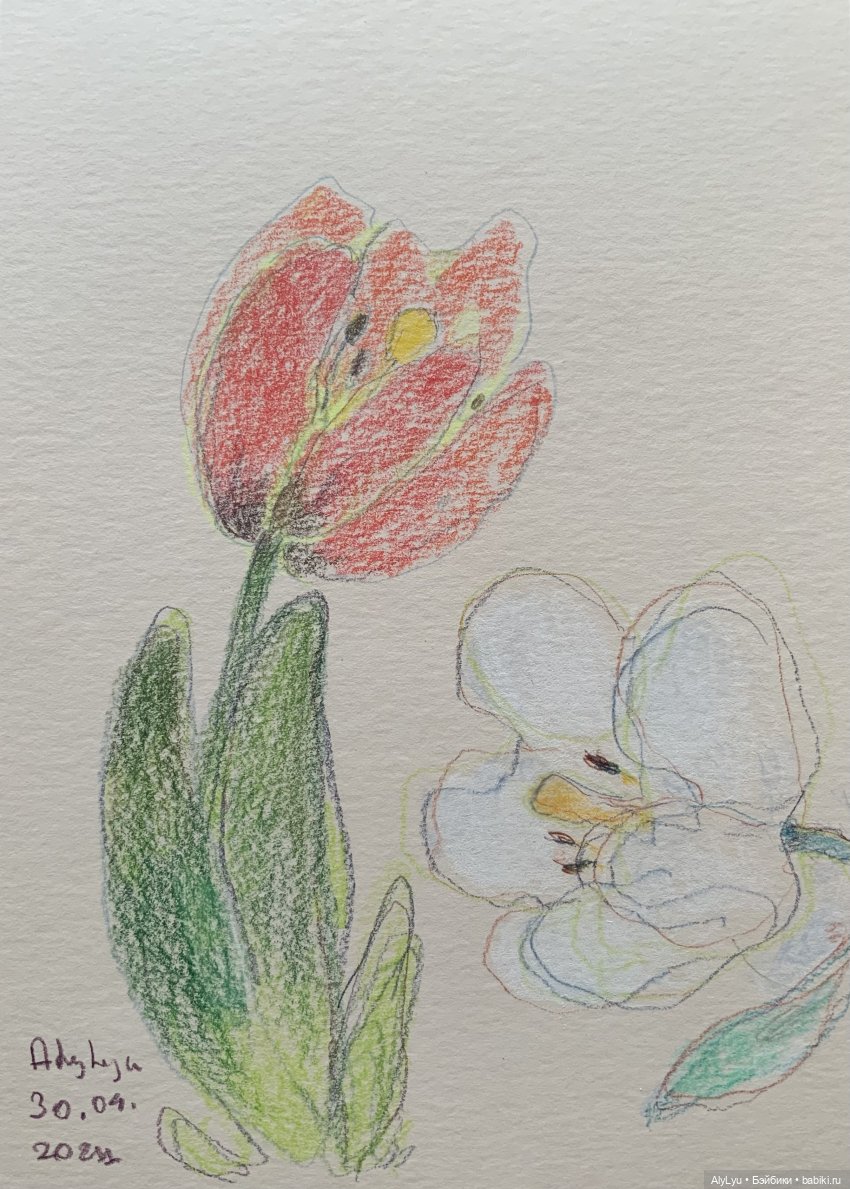 Я и не заметил, что конец мая (фото 7)