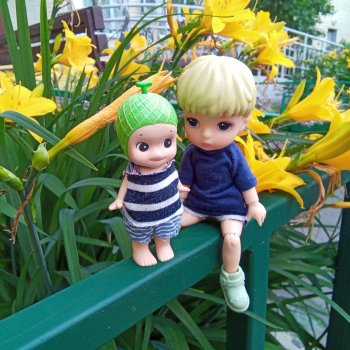 Томми, Сонни и цветы