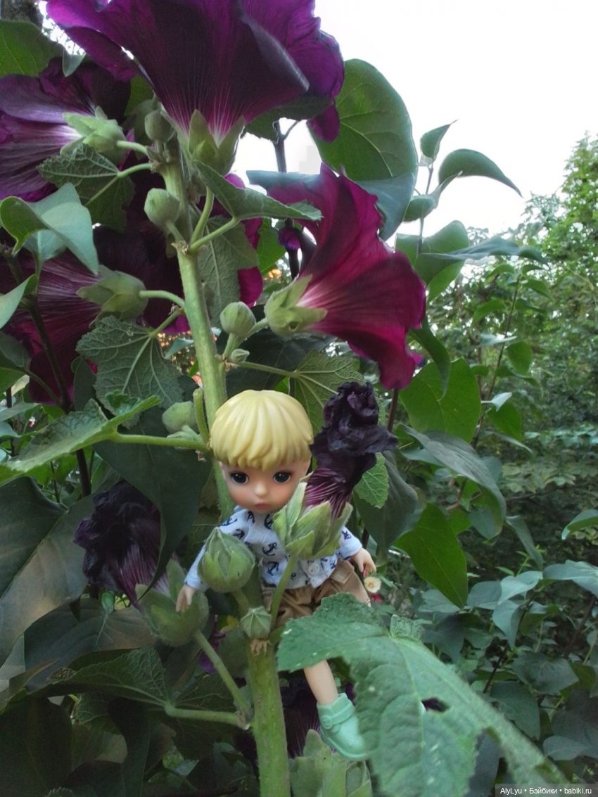 Томми — цветочный эльф — Разные шарнирные куклы (не БЖД): редкие (фото 8)